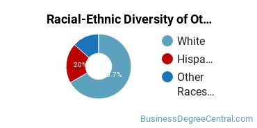 Racial-ethnic diversity of Other Business & Marketing majors at Bethany College