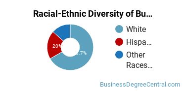 Racial-Ethnic Diversity of Business Management & Marketing Majors at Bethany College Kansas
