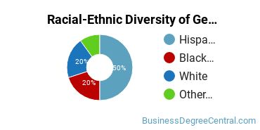 Racial-Ethnic Diversity of General Business/Commerce Majors at Bethel College - Mishawaka
