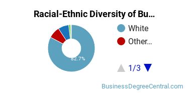 Racial-ethnic diversity of Business Administration & Management majors at Bethel University
