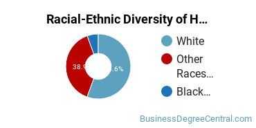 Racial-ethnic diversity of Human Resource Management majors at Bethel University