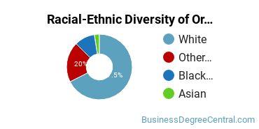 Racial-Ethnic Diversity of Organizational Behavior Studies Majors at Bethel University Minnesota
