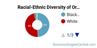 Racial-Ethnic Diversity of Organizational Leadership Majors at Bethel University