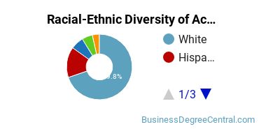 Racial-Ethnic Diversity of Accounting Majors at Blinn College