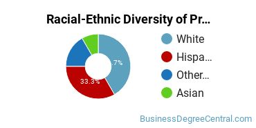 Racial-Ethnic Diversity of Professional Sales Majors at Bradley University