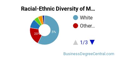 Racial-Ethnic Diversity of Marketing/Marketing Management, General Majors at Bradley University