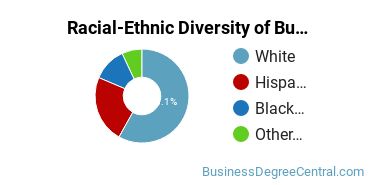 Racial-ethnic diversity of Business Administration & Management majors at Brazosport College