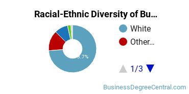 Racial-ethnic diversity of Business Administration & Management majors at Brigham Young University-Idaho