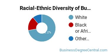 Racial-ethnic diversity of Business Administration & Management majors at Bryan University