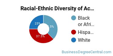 Racial-Ethnic Diversity of Accounting Majors at Bryant & Stratton College - Albany