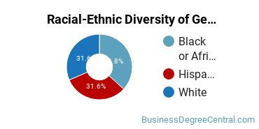 Racial-Ethnic Diversity of General Business/Commerce Majors at Bryant & Stratton College - Albany