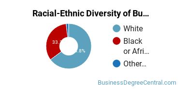 Racial-ethnic diversity of Business Administration & Management majors at Bryant & Stratton College-Online