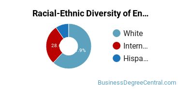 Racial-Ethnic Diversity of Entrepreneurship Majors at Bryant University