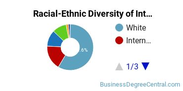 Racial-Ethnic Diversity of International Business/Trade/Commerce Majors at Bryant University