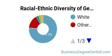 Racial-Ethnic Diversity of General Human Resources Management/Personnel Administration Majors at Buena Vista University