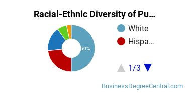 Racial-Ethnic Diversity of Public Relations, Advertising, & Applied Communication Majors at California Baptist University