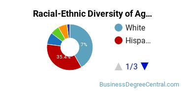 Racial-Ethnic Diversity of Agribusiness/Agricultural Business Operations Majors at California State Polytechnic University - Pomona
