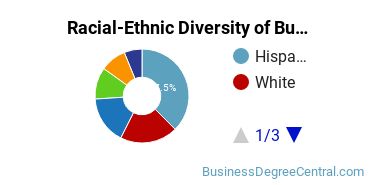 Racial-ethnic diversity of Business Administration & Management majors at California State University-Bakersfield