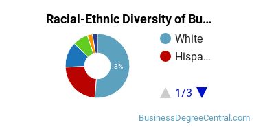 Racial-ethnic diversity of Business Administration & Management majors at California State University-Channel Islands