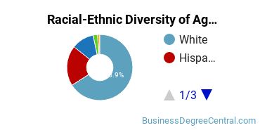 Racial-Ethnic Diversity of Agribusiness/Agricultural Business Operations Majors at California State University - Chico