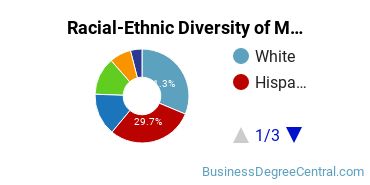 Racial-Ethnic Diversity of Marketing/Marketing Management, General Majors at California State University - Northridge