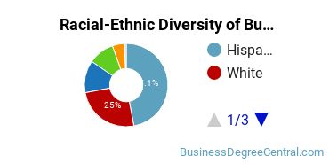 Racial-ethnic diversity of Business Administration & Management majors at California State University-Stanislaus
