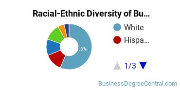 Racial-ethnic diversity of Business Administration & Management majors at Camden County College