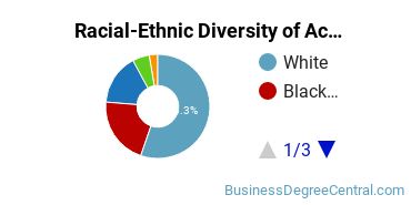Racial-Ethnic Diversity of Accounting Majors at Campbell University