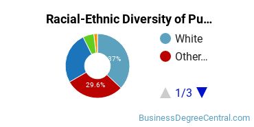Racial-Ethnic Diversity of Purchasing, Procurement/Acquisitions and Contracts Management Majors at Capella University