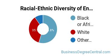 Racial-Ethnic Diversity of Entrepreneurship Majors at Capella University