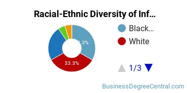 Racial-Ethnic Diversity of Information Resources Management Majors at Capella University