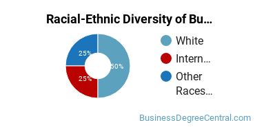 Racial-Ethnic Diversity of Business Economics Majors at Carnegie Mellon University