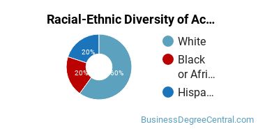 Racial-Ethnic Diversity of Accounting Majors at Centenary College of Louisiana