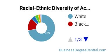 Racial-ethnic diversity of Accounting majors at Central Connecticut State University