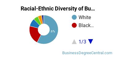 Racial-ethnic diversity of Business Administration & Management majors at Central Michigan University