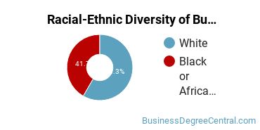 Racial-ethnic diversity of Business Support & Assistance majors at Central Virginia Community College