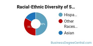 Racial-Ethnic Diversity of Small Business Administration/Management Majors at Chabot College