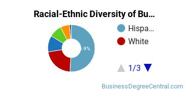 Racial-ethnic diversity of Business Administration & Management majors at Chaffey College