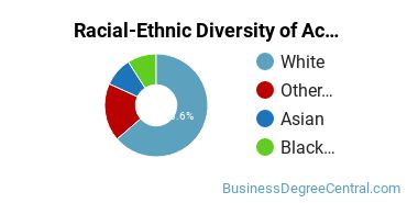 Racial-Ethnic Diversity of Accounting Majors at Champlain College