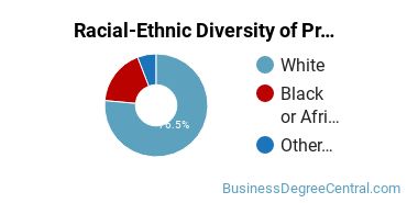Racial-Ethnic Diversity of Project Management Majors at Charleston Southern University