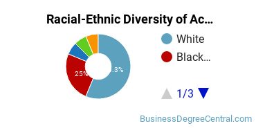 Racial-ethnic diversity of Accounting majors at Chestnut Hill College