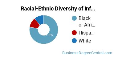 Racial-Ethnic Diversity of Information Resources Management Majors at Chicago State University