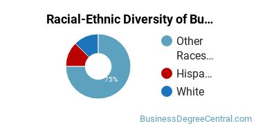 Racial-ethnic diversity of Business Administration & Management majors at College of Menominee Nation