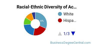 Racial-Ethnic Diversity of Accounting Majors at College of Mount Saint Vincent