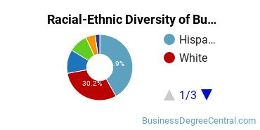 Racial-ethnic diversity of Business Administration & Management majors at University of Mount Saint Vincent