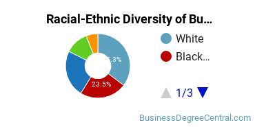 Racial-ethnic diversity of Business Administration & Management majors at University of Mount Saint Vincent