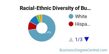 Racial-Ethnic Diversity of Business Management & Marketing Majors at Elms College