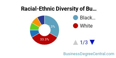 Racial-ethnic diversity of Business Administration & Management majors at Saint Elizabeth University