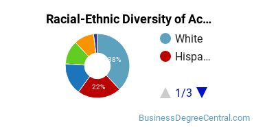 Racial-Ethnic Diversity of Accounting Technology/Technician and Bookkeeping Majors at College of Southern Nevada