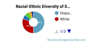Racial-Ethnic Diversity of Small Business Administration/Management Majors at College of the Canyons